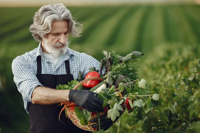 Provenance as Performance: When Food Television's Authenticity Narrative Becomes the Product