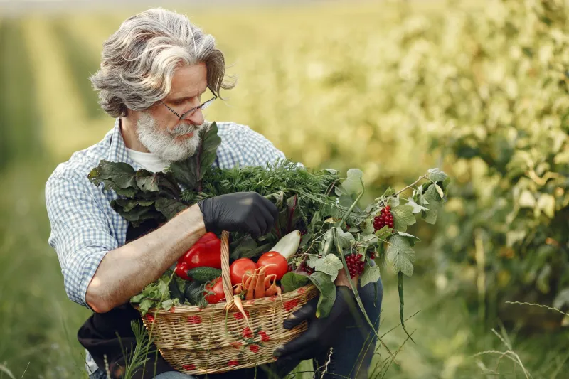 Soil, Season, and Silence: Why Gourmet Television Cannot Capture the Soul of Where Food Comes From