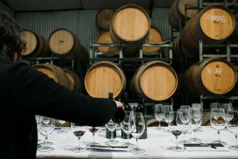 Uncorked Narratives: How Sommelier-Led Programming Is Quietly Rewriting the Grammar of Food Television